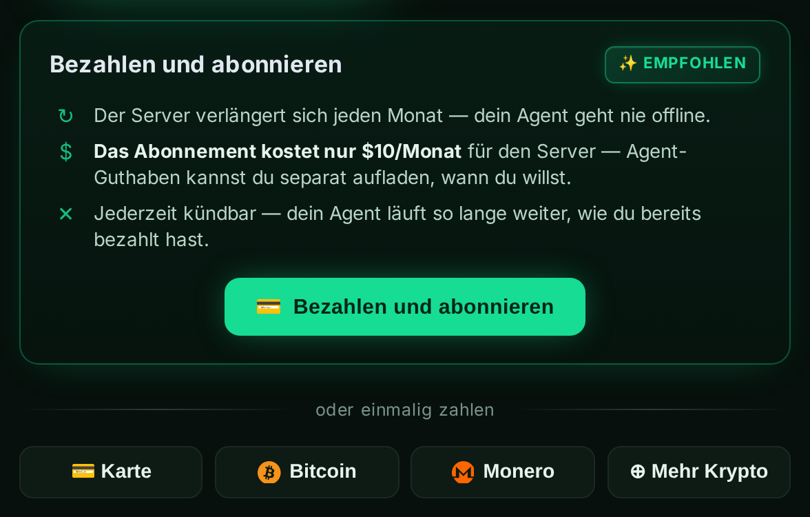 Das „Bezahlen und abonnieren“-Panel mit Karten- und Krypto-Optionen