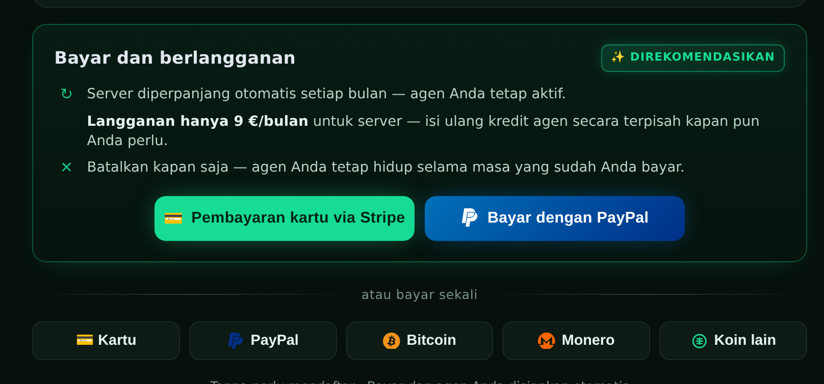 Panel “Bayar dan berlangganan” dengan tombol kartu via Stripe dan PayPal, serta opsi pembayaran sekali di bawahnya