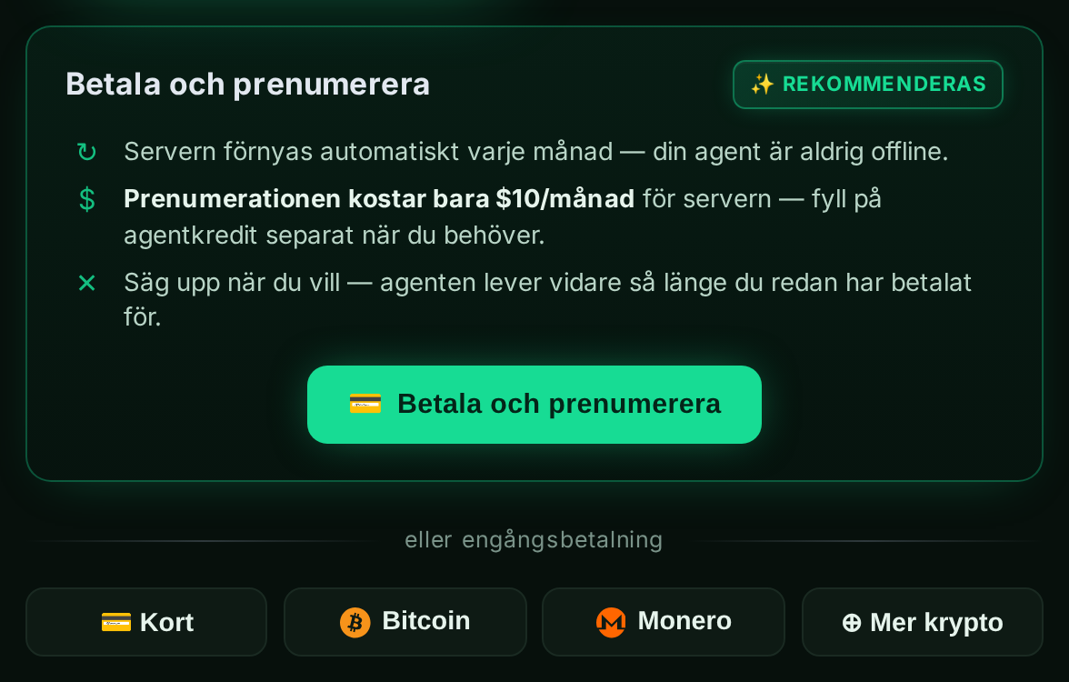 Panelen “Betala och prenumerera” med kort- och kryptoalternativ